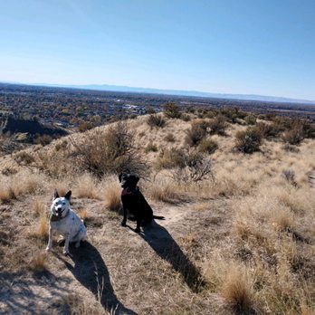Positive Pets Dog Training - Pet Training Near Me - Meridian, Idaho Positive Pets Dog Training - Pet Training Near Me - Meridian, Idaho