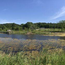 McCully Heritage Project - Wetland and crumbling boardwalk