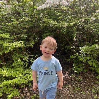 Brighton Azalea Garden - My LO found the perfect hiding spot! - Botanical Gardens Near Me - Brookeville, Maryland Brighton Azalea Garden - My LO found the perfect hiding spot! - Botanical Gardens Near Me - Brookeville, Maryland