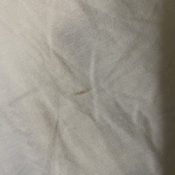 Hagerman Valley Inn - Blood stains on sheets. Picture is bad quality. - Hotels Near Me - Hagerman, Idaho