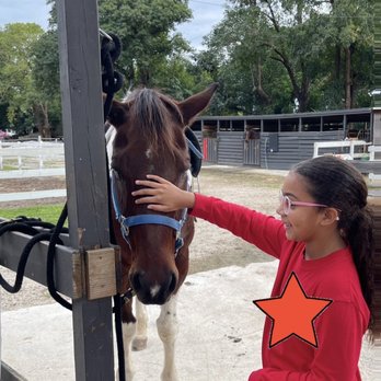 Camp Lingua - Summer Camps Near Me - Southwest Ranches, Florida