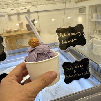 Starving - Blueberry lemon ice cream - Ice Cream & Frozen Yogurt Near Me - Manitou Springs, Colorado