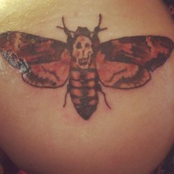 Skin Deep Sin-Sations - Death's head hawkmoth by Mike.