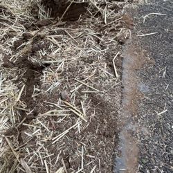 Estes Express Lines - Scraped driveway and damaged landscaping