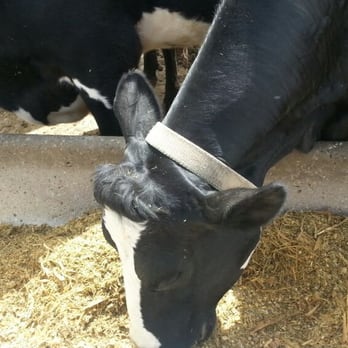 Wolcott Mill Interpretive Learning Center - Attraction Farms Near Me - Ray, Michigan
