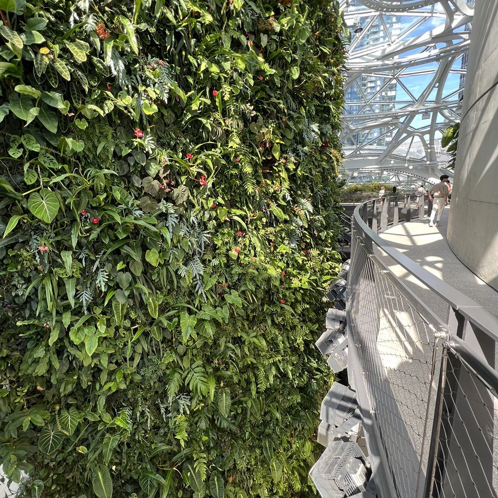 Amazon Spheres - Live plant wall in Amazon Spheres - Botanical Gardens Near Me - Seattle, Washington Amazon Spheres - Live plant wall in Amazon Spheres - Botanical Gardens Near Me - Seattle, Washington