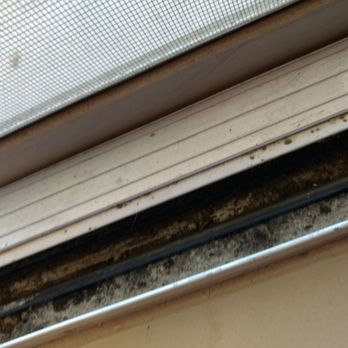 Shiny Happy Housecleaning - Gross. How is this clean? - Office Cleaning Near Me Shiny Happy Housecleaning - Gross. How is this clean? - Office Cleaning Near Me