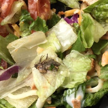 Zaxbys - Salad anyone? This is what I got at Zaxby's in DeLand! - Fast Food Near Me - Deland, Florida Zaxbys - Salad anyone? This is what I got at Zaxby's in DeLand! - Fast Food Near Me - Deland, Florida