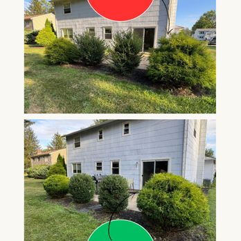 MTM Property Maintenance - Before and After - Shrub Trimming - Plainsboro NJ - Lawn Services Near Me - Monroe Township, New Jersey MTM Property Maintenance - Before and After - Shrub Trimming - Plainsboro NJ - Lawn Services Near Me - Monroe Township, New Jersey