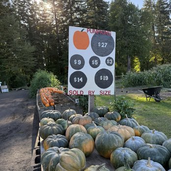 Fiala Farms - Price by size - Farmers Market Near Me - West Linn, Oregon Fiala Farms - Price by size - Farmers Market Near Me - West Linn, Oregon