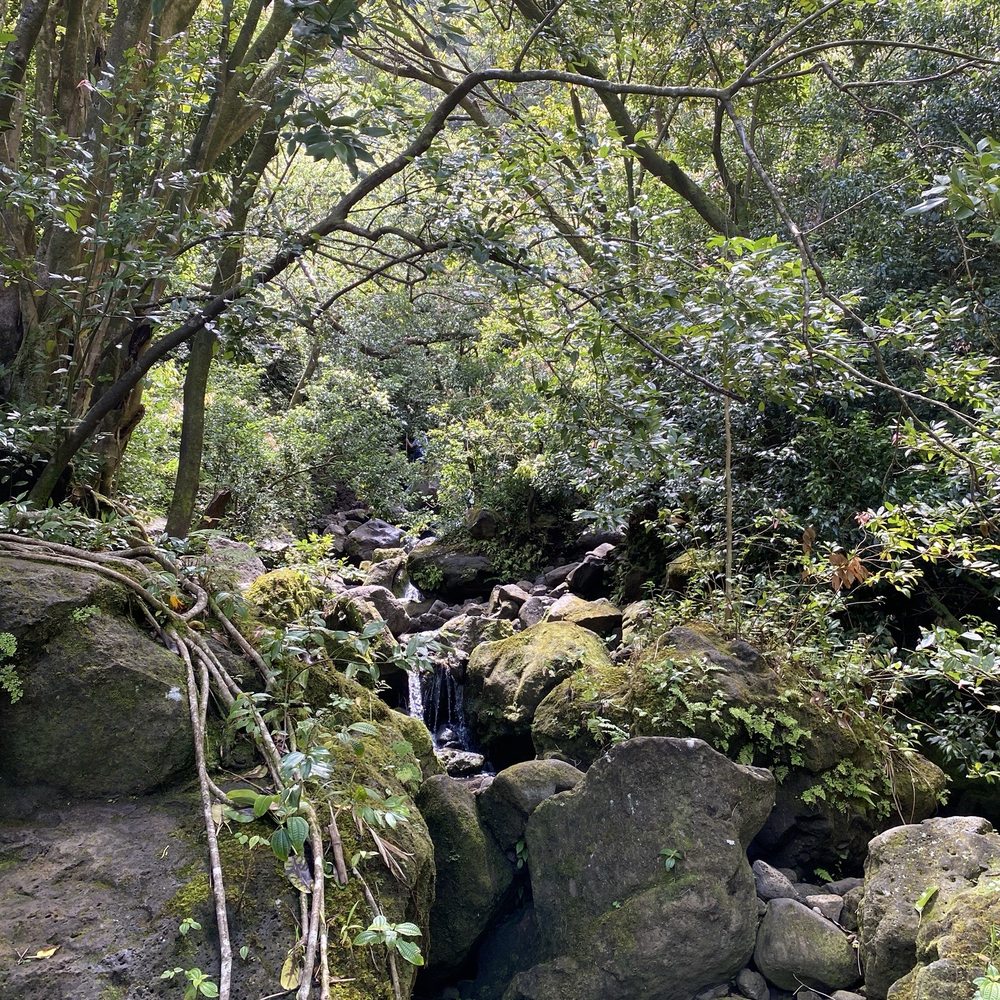 Lulumahu Falls - Hiking Near Me - Honolulu, Hawaii Lulumahu Falls - Hiking Near Me - Honolulu, Hawaii