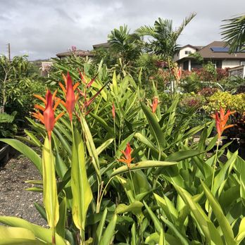 Makakilo Nursery - Nurseries & Gardening Near Me - Kapolei, Hawaii