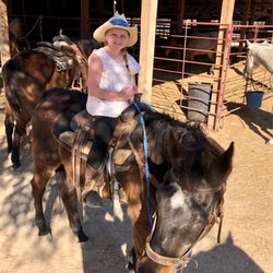 Hollow Tree Ranch