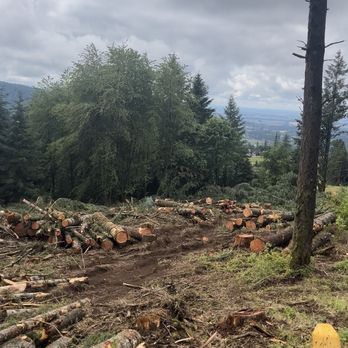 Mac & Trees - Tree Services Near Me Mac & Trees - Tree Services Near Me