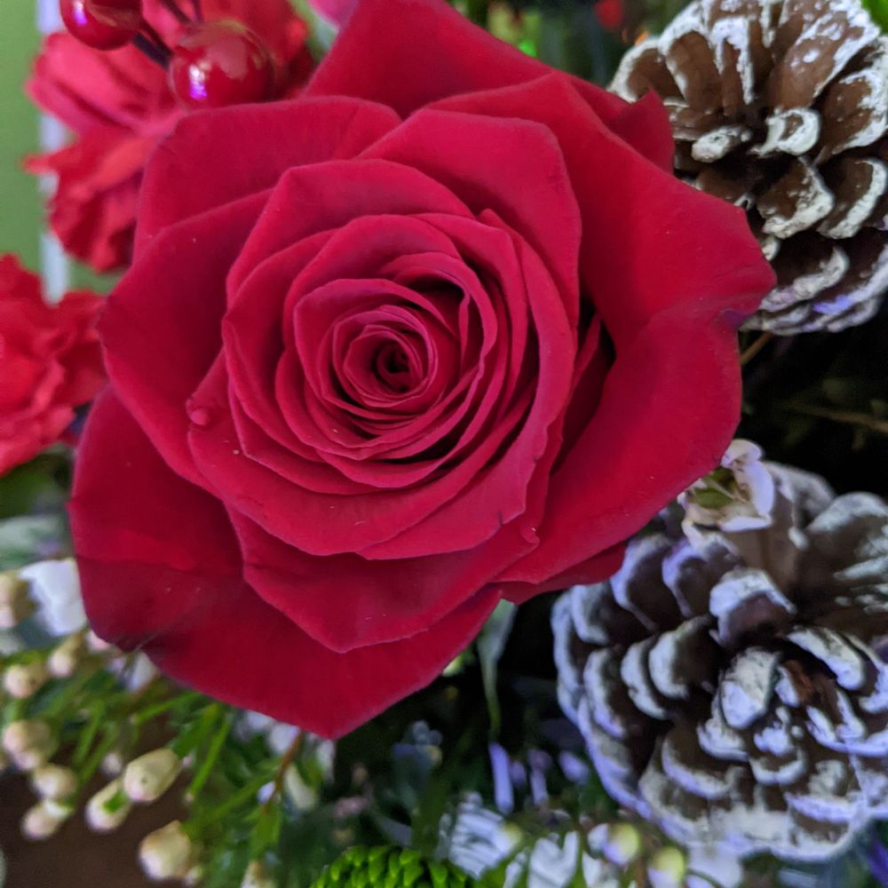 Puhlman Flowers Moon Twp Best Flower Site