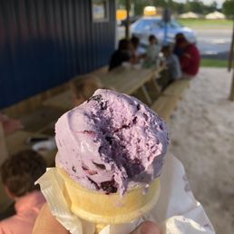 Blueberry ice cream - tons of fruit Blueberry ice cream - tons of fruit