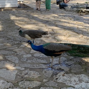 Mayfield Park - His and her - Parks Near Me - Austin, Texas