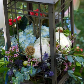 Every Blooming Thing - Florists Near Me - Salt Lake City, Utah Every Blooming Thing - Florists Near Me - Salt Lake City, Utah