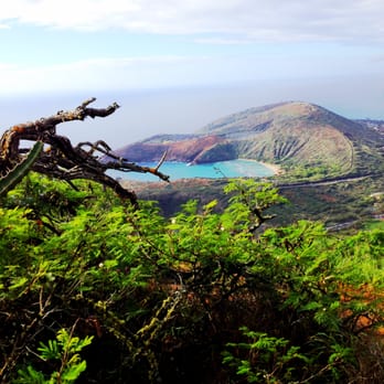 Koko Head District Park - A pic a took when I climbed a little further - Parks Near Me - Honolulu, Hawaii Koko Head District Park - A pic a took when I climbed a little further - Parks Near Me - Honolulu, Hawaii