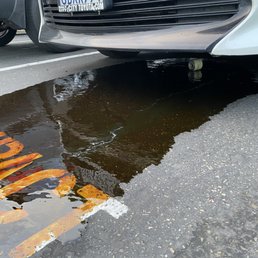Engine oil leaked out with the oil filter exposed underneath the car