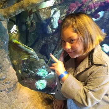 Turtle Bay Exploration Park - Fish - Museums Near Me - Redding, California Turtle Bay Exploration Park - Fish - Museums Near Me - Redding, California