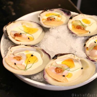 Wildair by null Wildair by null