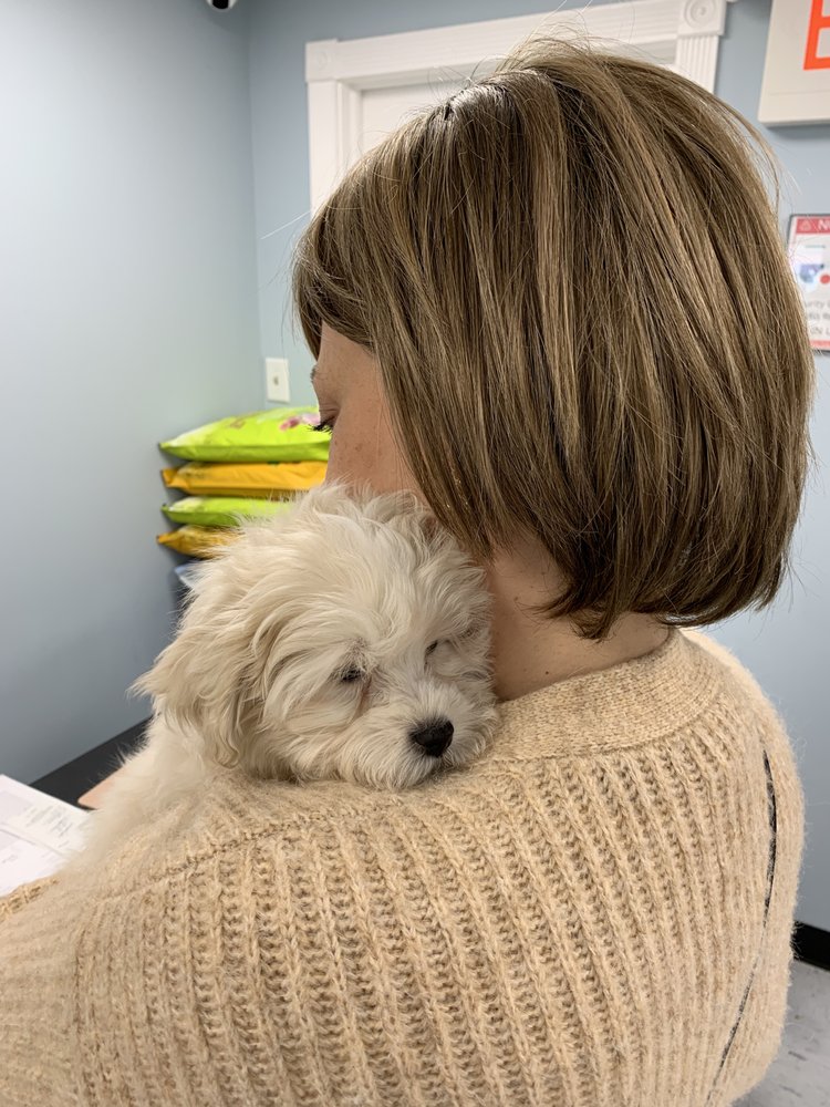 Select A Puppy Image
