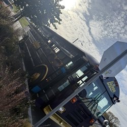 LaZoom Tours