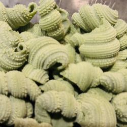Oro - Basil pasta before cooking it! So pretty