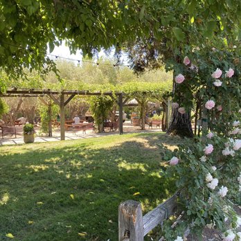 V Sattui Winery - Green space for picnics at winery - Wineries Near Me - Saint Helena, California V Sattui Winery - Green space for picnics at winery - Wineries Near Me - Saint Helena, California