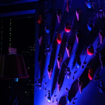 Virgin Hotels Chicago - Bug wall in the rooftop bar - Hotels Near Me - Chicago, Illinois Virgin Hotels Chicago - Bug wall in the rooftop bar - Hotels Near Me - Chicago, Illinois