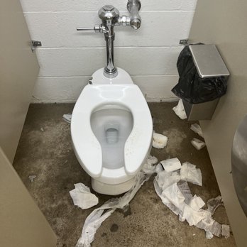 What Happens When Toilet is Not Kept Clean: Hidden Dangers