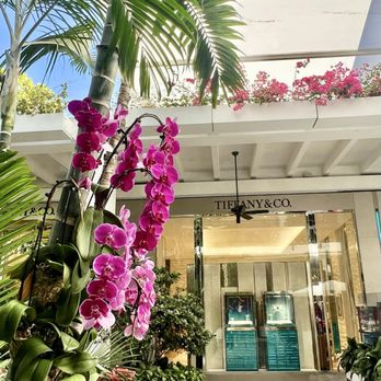 Tiffany & Co - Jewelry Near Me - Bal Harbour, Florida Tiffany & Co - Jewelry Near Me - Bal Harbour, Florida