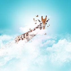 FarInspiredDesigns - Beautiful digital illustration.