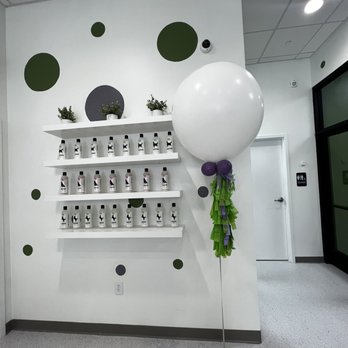 Bubbly Paws - Pet Groomers Near Me - Charlotte, North Carolina