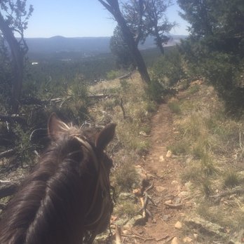 Cedar Crest Country Cottage and Stables - Some trails  - taking in the beautiful scenery! Sunscreen and a hat! - Horseback Riding Near Me - Cedar Crest, New Mexico