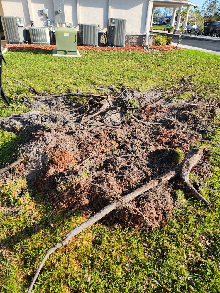 Slide of Greenbelt by Chdo