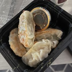 Gyoza - Appetizer