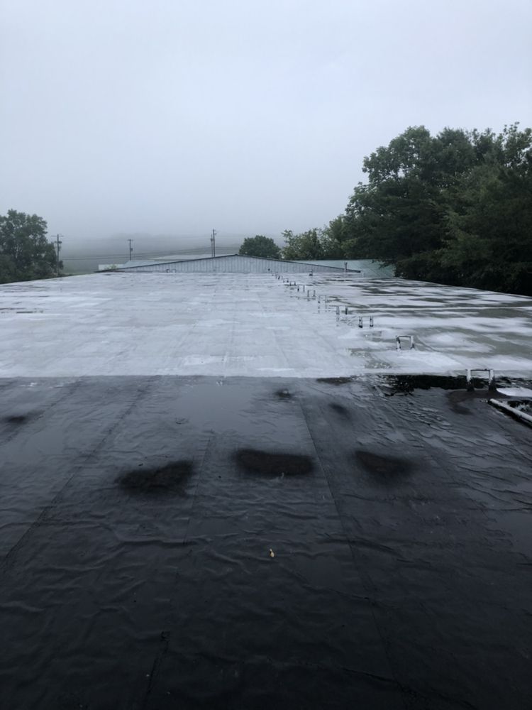 Slide of Alpha Coating