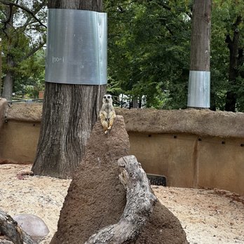 Oklahoma City Zoo - King of the hill - Zoos Near Me - Oklahoma City, Oklahoma Oklahoma City Zoo - King of the hill - Zoos Near Me - Oklahoma City, Oklahoma