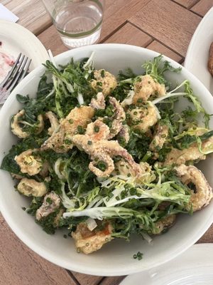 Barbuto Brooklyn by null