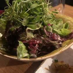 Weinstube Schellenturm - Mixed Salad incl. | Weinstube Schellenturm