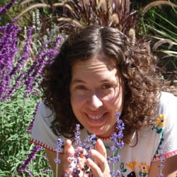 Ancestral Apothecary - Loving lavender!