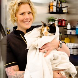 Noble Paw Werks - Certified Feline Master Groomer