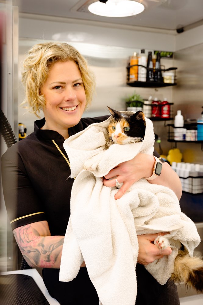 NOBLE PAW WERKS Updated August 2024 20 Photos Poulsbo, Washington