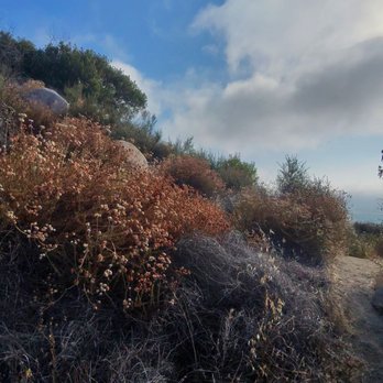 Wiashal Trailhead - Parks Near Me - Murrieta, California Wiashal Trailhead - Parks Near Me - Murrieta, California