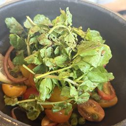 Summer Tomato Salad deliciously fresh and tasty Summer Tomato Salad deliciously fresh and tasty
