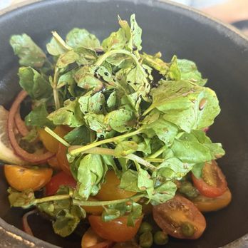 Running Goose - Summer Tomato Salad deliciously fresh and tasty - Gastropubs Near Me - Los Angeles, California Running Goose - Summer Tomato Salad deliciously fresh and tasty - Gastropubs Near Me - Los Angeles, California