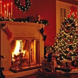 North Pole Christmas Tree - Christmas is just not the same with out a Fresh Christmas Tree!