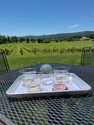 Breaux Vineyards by null